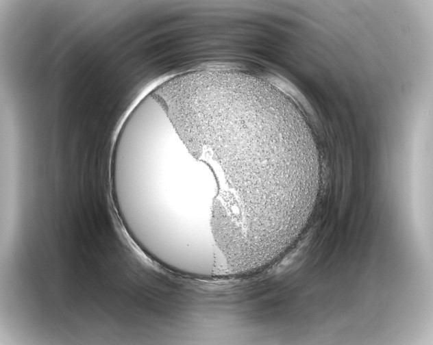 X0000086990852200704301336