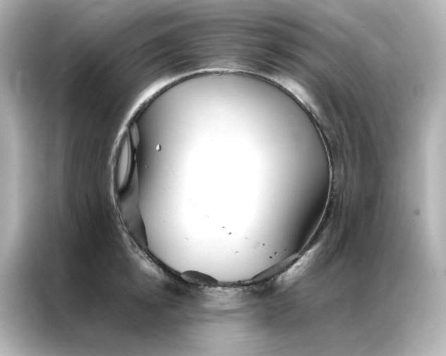 X0000086990854200704301336