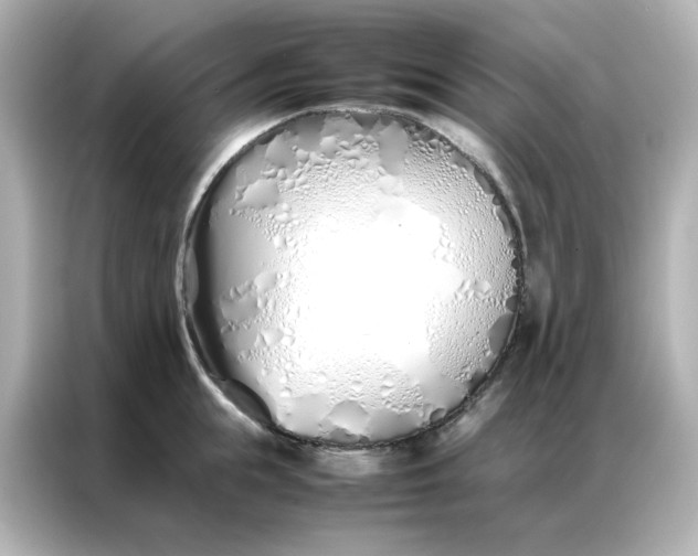 X0000086990855200704301336