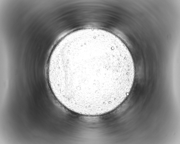 X0000086990856200704301336