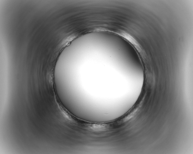 X0000086990857200704301336