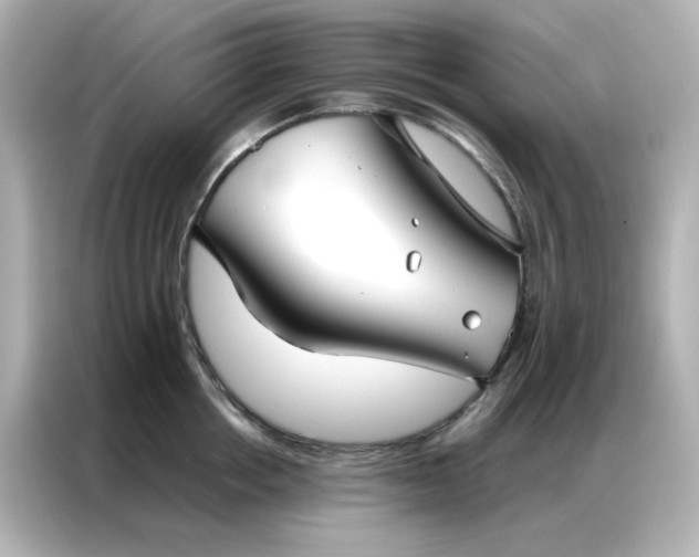 X0000086990858200704301336