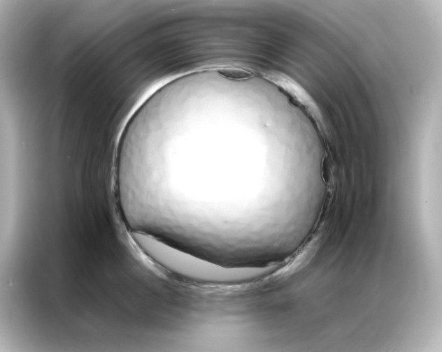 X0000086990860200704301336