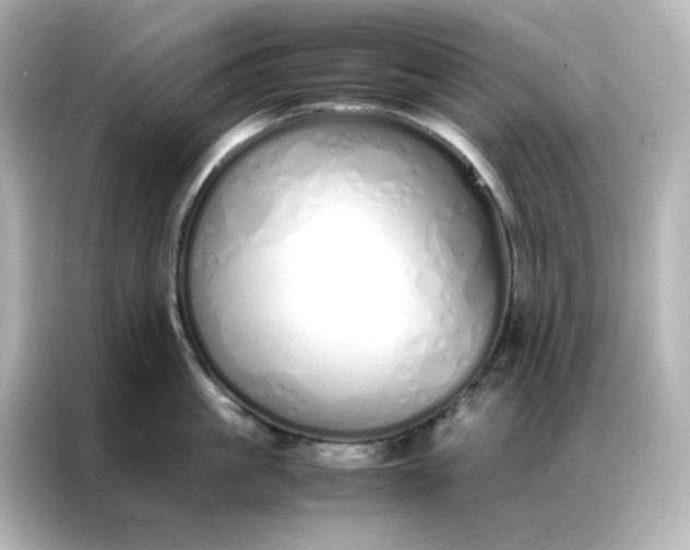 X0000086990861200704301336