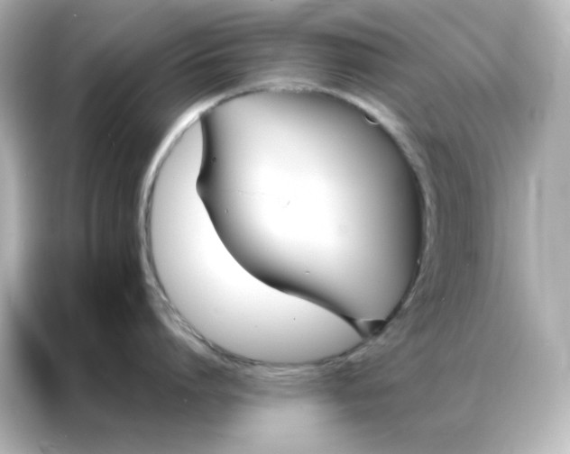 X0000086990864200704301336