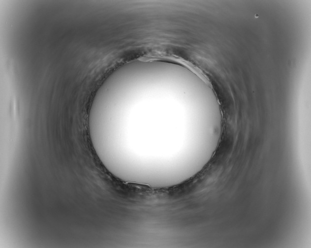 X0000086990865200704301336