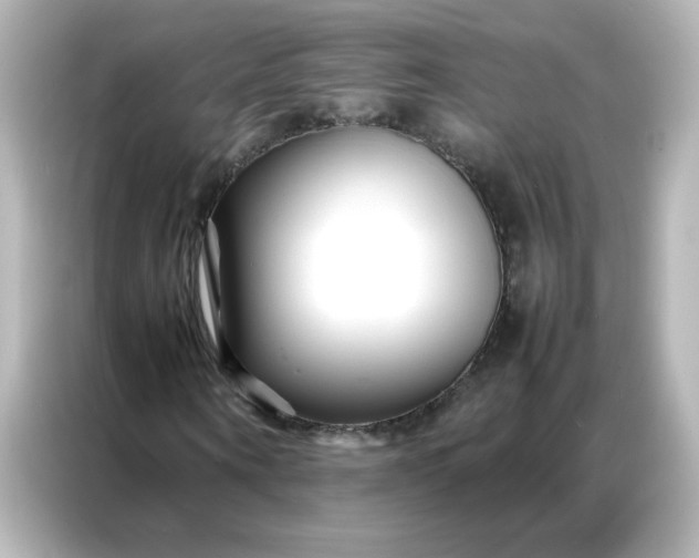 X0000086990866200704301336