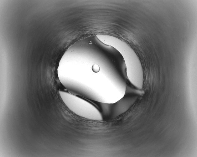 X0000086990868200704301335