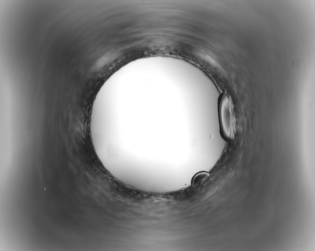 X0000086990869200704301335