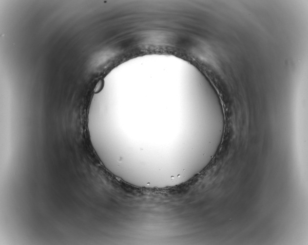 X0000086990870200704301335