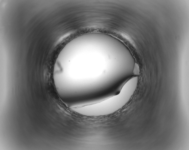 X0000086990872200704301335