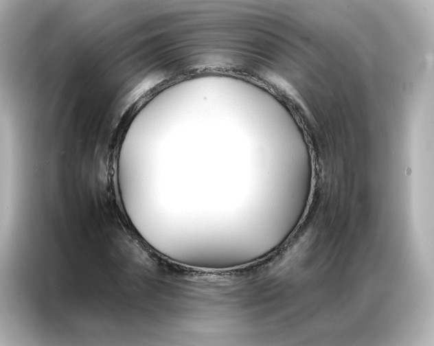 X0000086990874200704301335