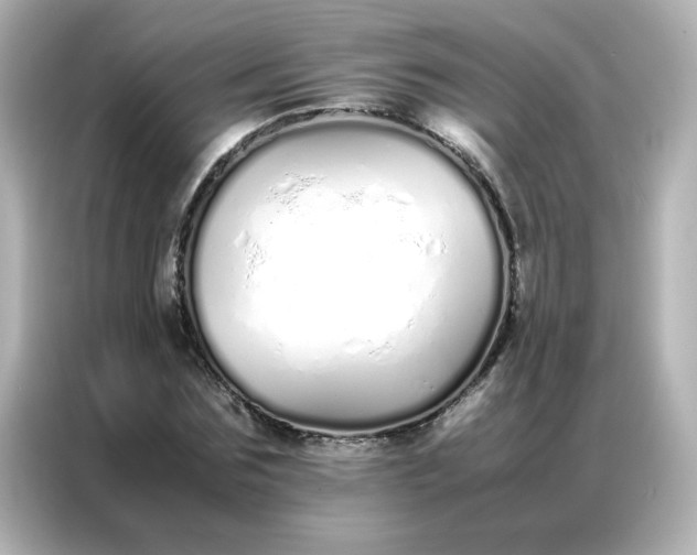 X0000086990875200704301335