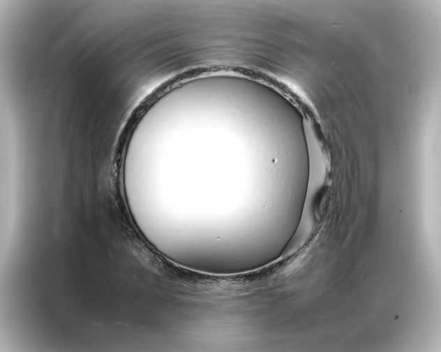 X0000086990879200704301335