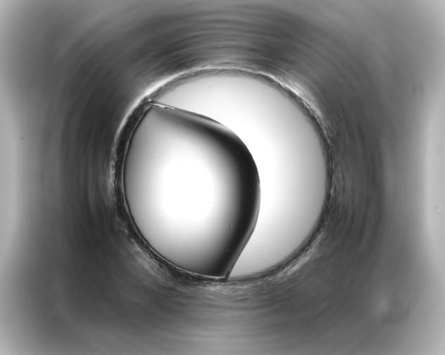 X0000086990880200704301335