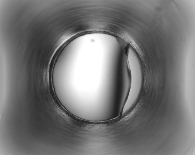 X0000086990884200704301335