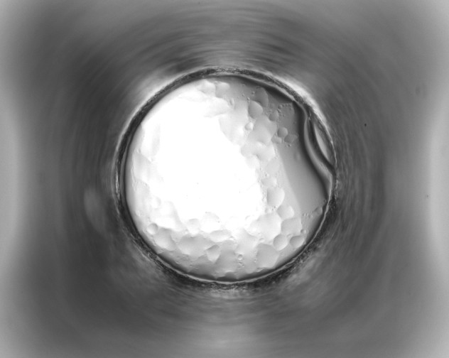 X0000086990887200704301335