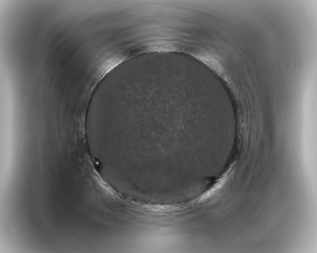 X0000086990889200704301335