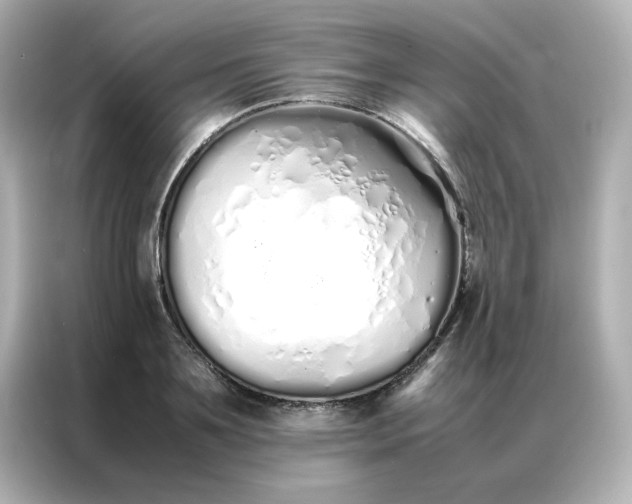 X0000086990891200704301335