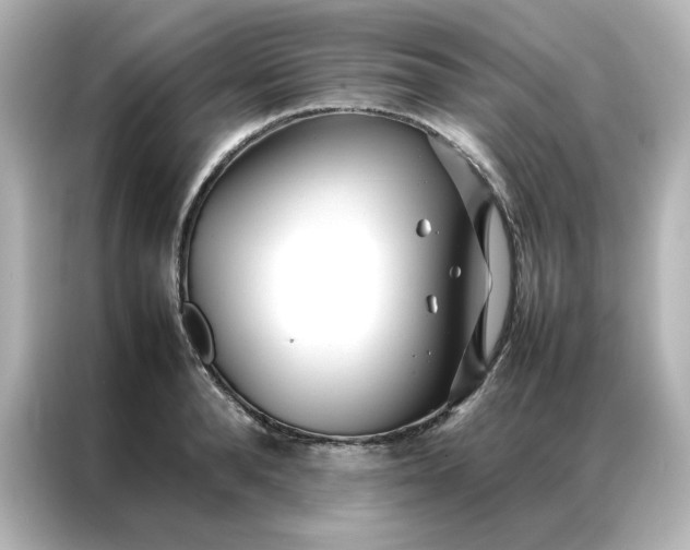 X0000086990896200704301335