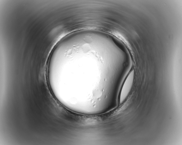 X0000086990899200704301335