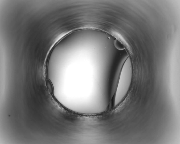 X0000086990900200704301335