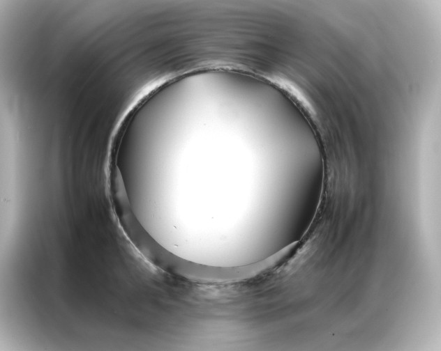 X0000086990902200704301335