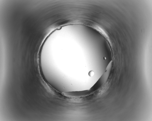 X0000086990907200704301335