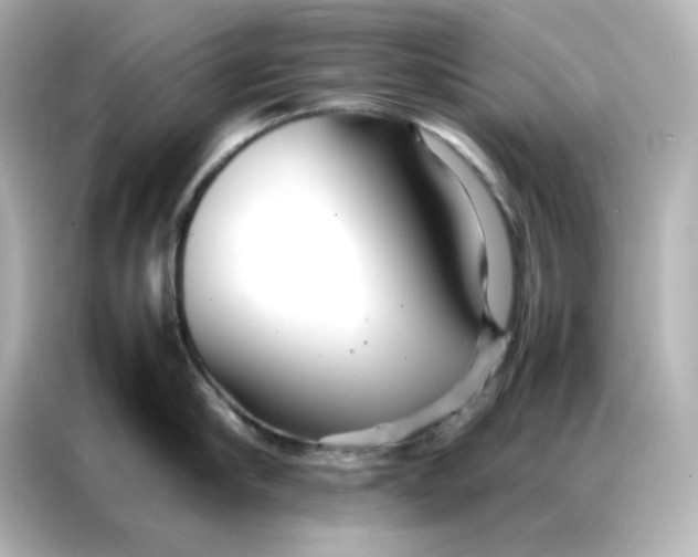 X0000086990910200704301335