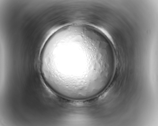 X0000086990911200704301335