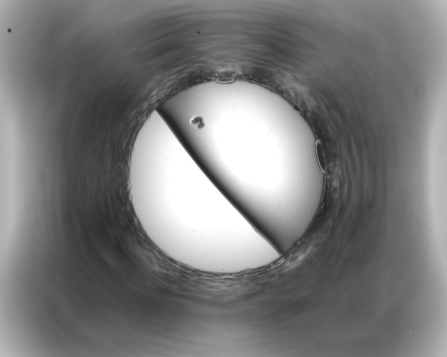 X0000086990916200704301334