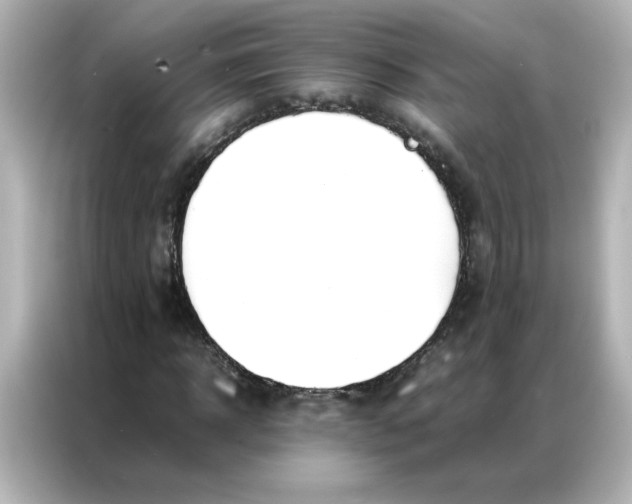 X0000086990918200704301334