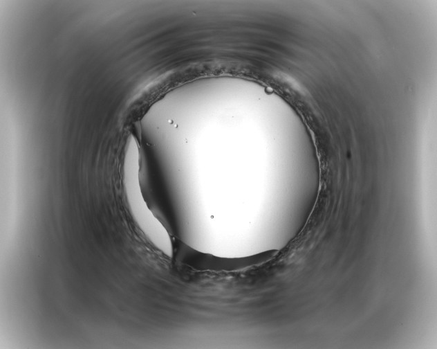 X0000086990919200704301334