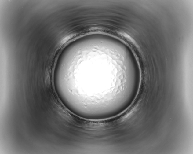 X0000086990921200704301334