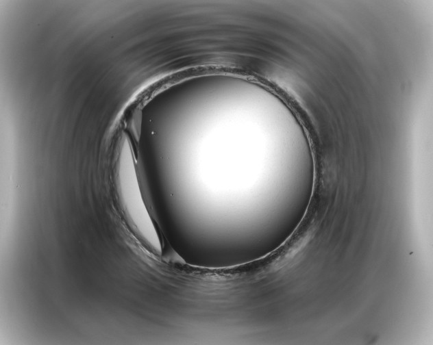 X0000086990923200704301334