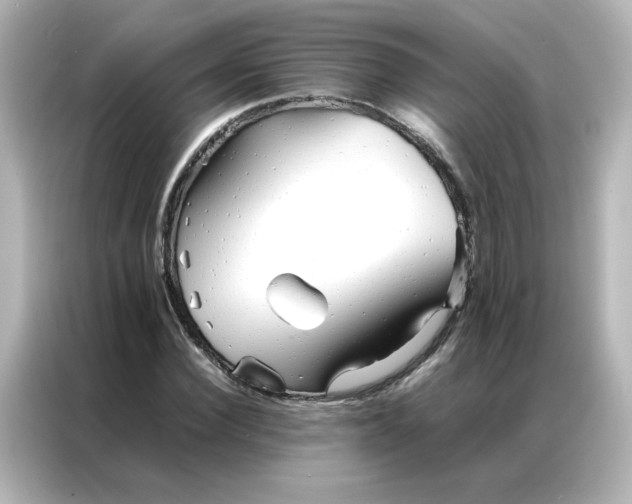 X0000086990924200704301334