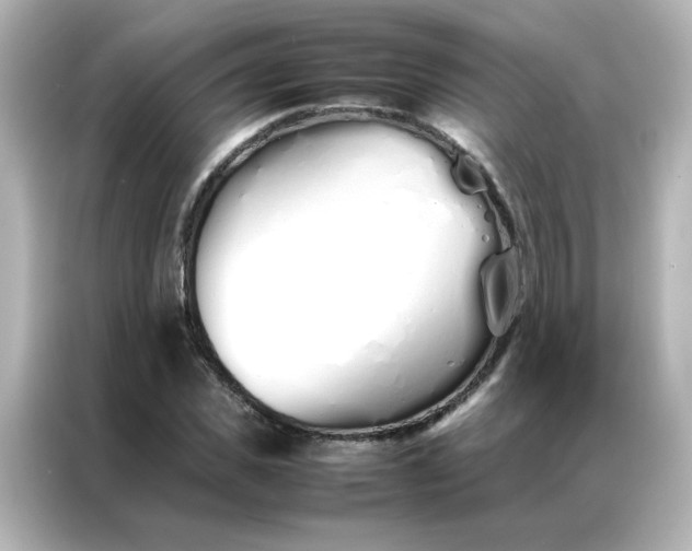 X0000086990925200704301334