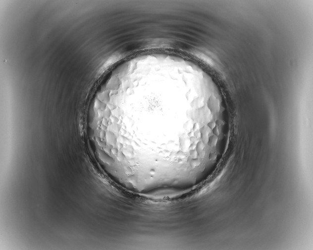 X0000086990929200704301334