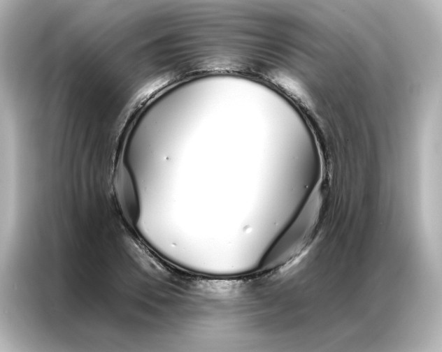 X0000086990930200704301335