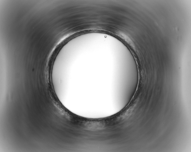 X0000086990931200704301335