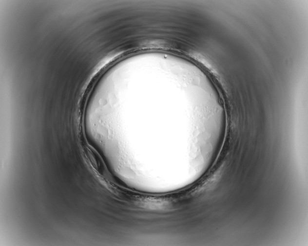 X0000086990933200704301335