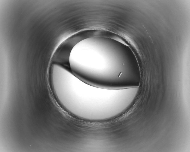 X0000086990936200704301335