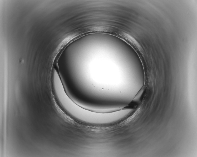 X0000086990938200704301335