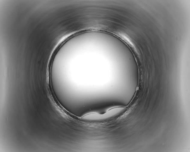 X0000086990940200704301335