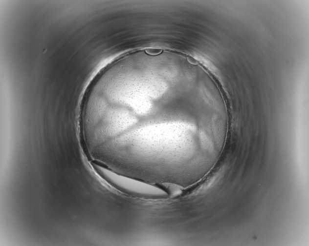 X0000086990941200704301335