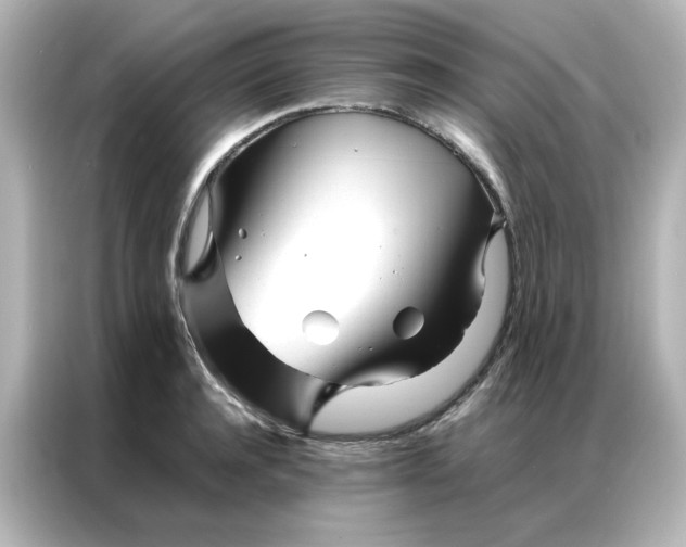 X0000086990944200704301335