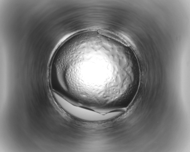 X0000086990948200704301335