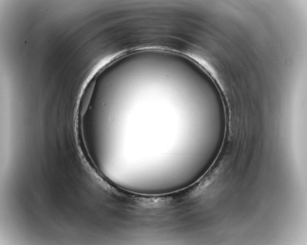 X0000086990949200704301335