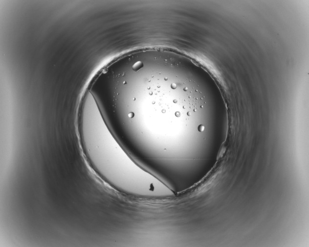 X0000086990950200704301335