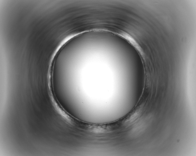 X0000086990955200704301335